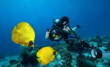 diving