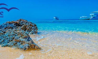 Paradise