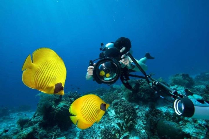 diving